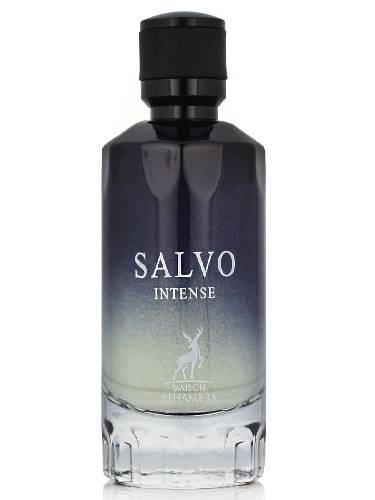 Salvo Intense